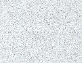 9106